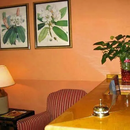 Hotel Central 3*